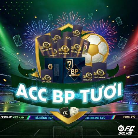 Acc BP tươi